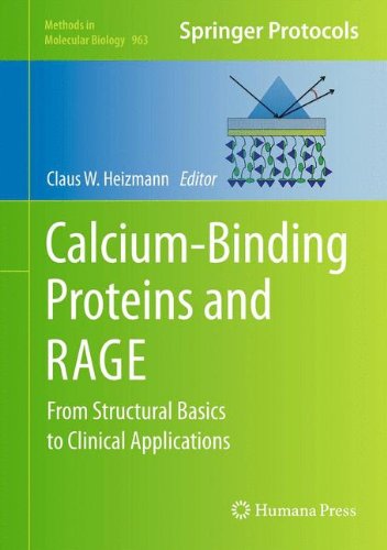 [PDF] Calcium-Binding Proteins and RAGE: From Structural Basics to Clinical Applications Sonal Srikanth, Yousang Gwack (auth.), Claus W. Heizmann (eds.)