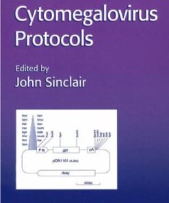 [PDF] Cytomegalovirus Protocols John Sinclair