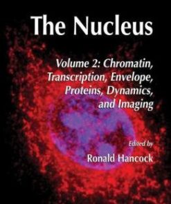 {PDF} The Nucleus: Volume 2: Chromatin, Transcription, Envelope, Proteins, Dynamics, and Imaging Amy C. Rowat (auth.), Ronald Hancock (eds.)