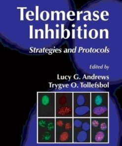 {PDF} Telomerase Inhibition: Strategies and Protocols Lucy G. Andrews, Trygve O. Tollefsbol (auth.), Lucy G. Andrews, Trygve O. Tollefsbol (eds.)