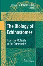[PDF] The Biology of Echinostomes: From the Molecule to the Community Jos? Guillermo Esteban*, Carla Mu?oz-Antoli (auth.), Rafael Toledo, Bernard Fried (eds.)