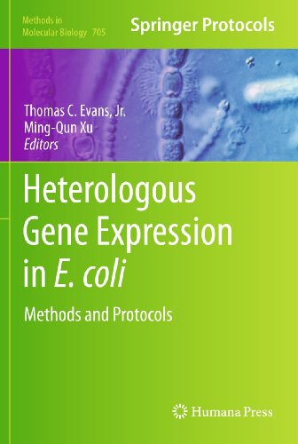 {pdf} Heterologous Gene Expression in E.coli: Methods and Protocols Evelina Angov, Patricia M. Legler, Ryan M. Mease (auth.), Thomas C. Evans, Jr., Ming-Qun Xu (eds.)