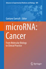 [PDF] microRNA: Cancer: From Molecular Biology to Clinical Practice Gaetano Santulli (eds.)