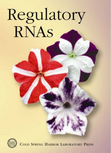 [PDF] Regulatory RNAs Bruce Stillman, David Stewart, David J. Stewart (Ph.D.)