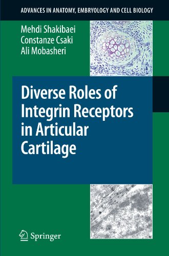 {pdf} Diverse Roles of Integrin Receptors in Articular Cartilage (Advances in Anatomy, Embryology and Cell Biology) Mehdi Shakibaei, Constanze Csaki, Ali Mobasheri