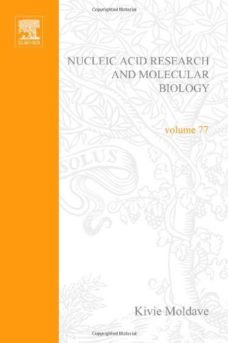 {pdf}  Kivie Moldave (Editor)