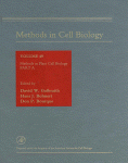 [PDF] Methods in Cell Biology, Vol. 49 David W. Galbraith, Hans J. Bohnert and Don P. Bourque (Eds.)