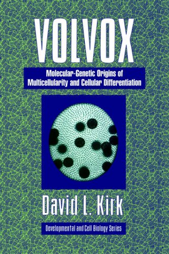 {pdf} Volvox: A Search for the Molecular and Genetic Origins of Multicellularity and Cellular Differentiation David L. Kirk