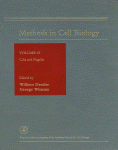 [PDF]  William Dentler and George Witman (Eds.)