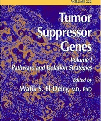 {PDF} Tumor Suppressor Genes: Volume 1: Pathways and Isolation Strategies Marco G. Paggi, Armando Felsani, Antonio Giordano (auth.), Wafik S. El-Deiry MD, PhD (eds.)