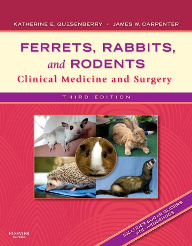 {PDF} Ferrets, Rabbits, and Rodents: Clinical Medicine and Surgery, 3rd Edition Katherine Quesenberry DVM, James W. Carpenter MS DVM Dipl ACZM
