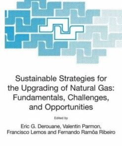 [pdf] Sustainable Strategies for the Upgrading of Natural Gas: Fundamentals, Challenges, and Opportunities: Proceedings of the NATO Advanced Study ... II: Mathematics, Physics and Chemistry) E.G. Derouane, Valentin Parmon, Francisco Lemos, Fernando Ramoa Ribeiro