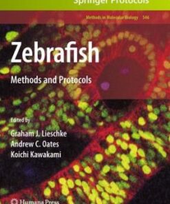 {PDF} Zebrafish: Methods and Protocols Ewart de Bruijn, Edwin Cuppen, Harma Feitsma (auth.), Graham J. Lieschke, Andrew C. Oates, Koichi Kawakami (eds.)