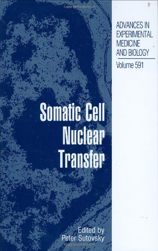 {PDF} Somatic Cell Nuclear Transfer Randall S. Prather (auth.), Peter Sutovsky Ph.D. (eds.)