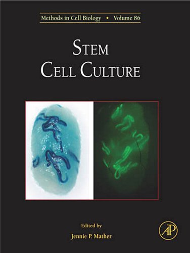 {pdf} Stem Cell Culture Dr. Jennie P. Mather (Eds.)