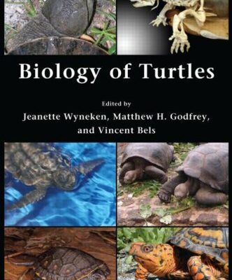 {PDF} Biology of Turtles: From Structures to Strategies of Life Jeanette Wyneken, Matthew H. Godfrey, Vincent Bels