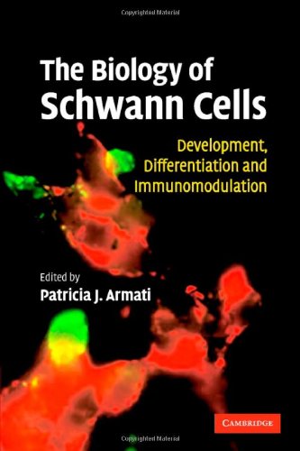 {PDF} The Biology of Schwann Cells: Development, Differentiation and Immunomodulation Patricia Armati