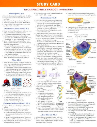 {PDF} Study Card for Campbell-Reece Biology Seventh Edition Neil Campbell, Jane Reece
