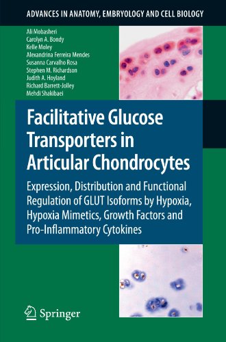 {PDF} Facilitative Glucose Transporters in Articular Chondrocytes: Expression, Distribution and Functional Regulation of GLUT Isoforms by Hypoxia, Hypoxia Mimetics, ... in Anatomy, Embryology and Cell Biology) Ali Mobasheri, Carolyn A. Bondy, Kelle Moley, Alexandrina Ferreira Mendes, Susana Carvalho Rosa, Stephen Richardson, Judith A. Hoyland, Richard Barrett-Jolley, Mehdi Shakibaei