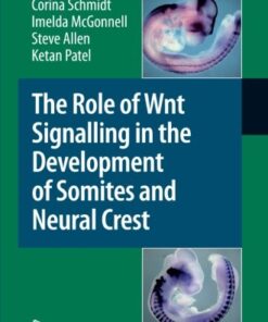 [PDF] The Role of Wnt Signalling in the Development of Somites and Neural Crest Corina Schmidt, Imelda McGonnell, Steve Allen, Ketan Patel (auth.)