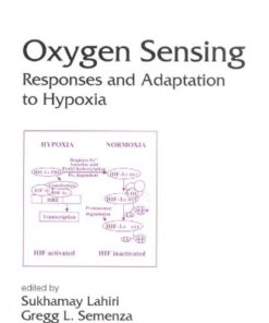 {pdf} Lung Biology in Health & Disease Volume 175 Oxygen Sensing: Responses and Adaptation to Hypoxia Sukhamay Lahiri, Gregg Semenza, Nanduri R. Prabhakar