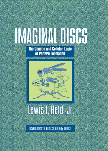 {pdf} Imaginal Discs: The Genetic and Cellular Logic of Pattern Formation (Developmental and Cell Biology Series) Lewis I. Held, Jr.
