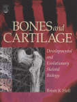 [PDF] Bones and Cartilage. Developmental and Evolutionary Skeletal Biology Brian K. Hall (Auth.)