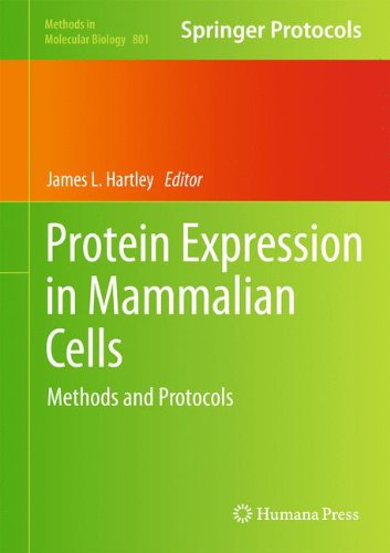 [PDF] Protein Expression in Mammalian Cells: Methods and Protocols James L. Hartley (auth.), James L Hartley (eds.)