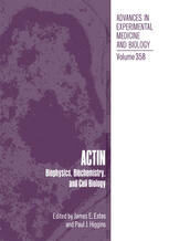 [PDF] Actin: Biophysics, Biochemistry, and Cell Biology Monique M. Tirion, Daniel ben-Avraham, Kenneth C. Holmes (auth.), James E. Estes, Paul J. Higgins (eds.)