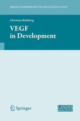 {PDF} VEGF in Development Christiana Ruhrberg
