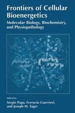 [PDF] Frontiers of Cellular Bioenergetics: Molecular Biology, Biochemistry, and Physiopathology Peter Nicholls (auth.), Sergio Papa, Ferruccio Guerrieri, Joseph M. Tager (eds.)