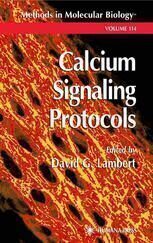 {PDF} Calcium Signaling Protocols Alec W. M. Simpson (auth.), David G. Lambert (eds.)