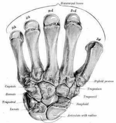 {PDF} The Probert Encyclopaedia of Medicine The Probert Encyclopaedia 87 Cheriton Avenue Southampton Hampshire SO18 5HN United Kingdom