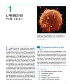 {PDF} Molecular cell biology Scott M.P., Matsudaira P., Lodish H.
