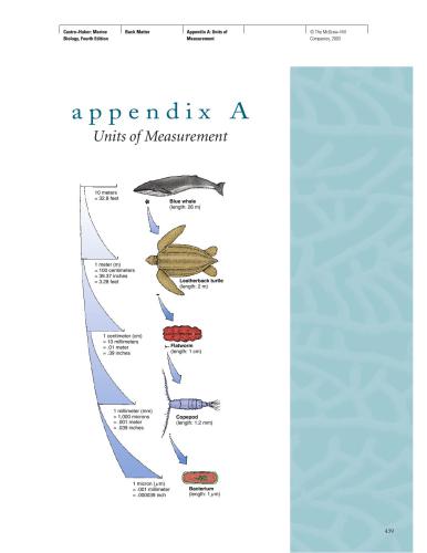 {PDF} Marine Biology Castro P., Huber E.