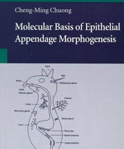 {PDF} Molecular Basis of Epithelial Appendage Morphogenesis Cheng-Ming Chuong