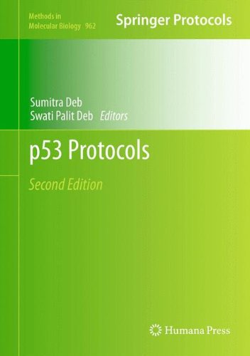 [PDF] p53 Protocols Marie P. Khoury, Virginie Marcel, Kenneth Fernandes, Alexandra Diot (auth.), Sumitra Deb, Swati Palit Deb (eds.)