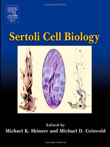 {pdf} Sertoli Cell Biology Michael K. Skinner (Editor), Michael D. Griswold (Editor)