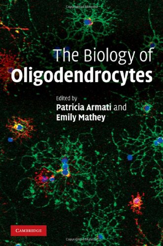 {pdf} The Biology of Oligodendrocytes Patricia Armati, Emily Mathey