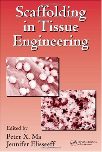 {PDF} Scaffolding In Tissue Engineering Peter X. Ma, Jennifer Elisseeff