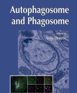 {PDF} Autophagosome and Phagosome Vojo Deretic (auth.), Vojo Deretic (eds.)