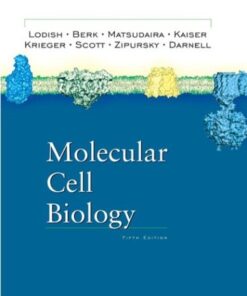 [PDF] Molecular Cell Biology Harvey Lodish, Arnold Berk, Paul Matsudaira, Chris A. Kaiser, Monty Krieger, Matthew P. Scott, Lawrence Zipursky, James Darnell